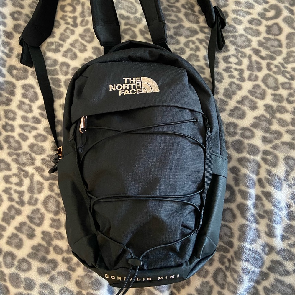 The North Face Borealis Mini Backpack
